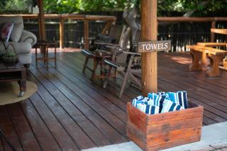 Thornhill Safari Lodge - Guernsey Nature Reserve - 4