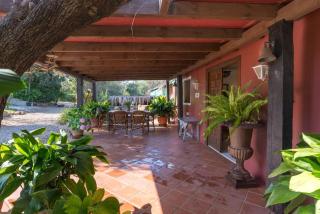 La Casita by Teresa - Marbella - 7