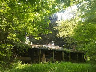 Das wilde Auwaldhaus - 9