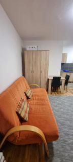 Apartman Vojvode Stepe M - 5