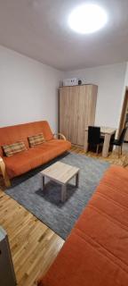 Apartman Vojvode Stepe M - 3