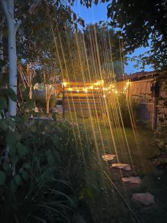 The Green Escape - Private Cabin Retreat in London - - 3