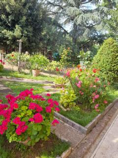 Casa vacanze - Serena - Chiusi - 8