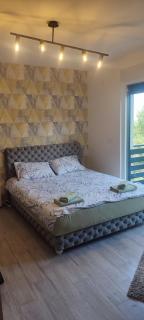 Apartman Miloš - Divčibare - 0