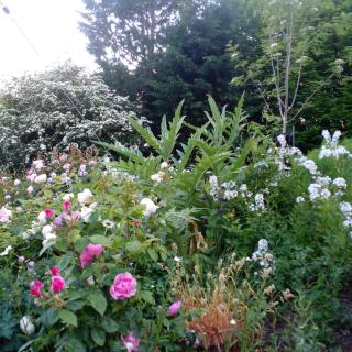 Beautiful Tiny House - Clonakilty - 6