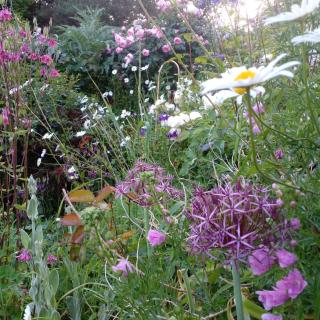 Beautiful Tiny House - Clonakilty - 9