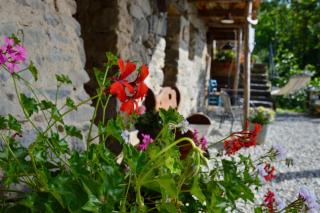 Cozy House Valchiusella - Brosso - 1