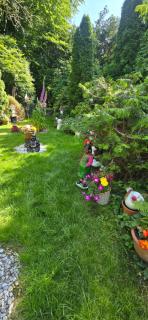 Oase am Deich - - 7