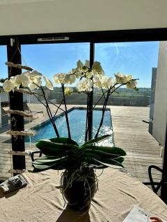 Architect designed house with view - Montrabé - 6