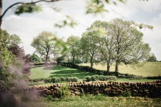 Rocking Stone Cottage - Matlock - 9