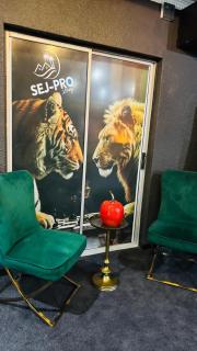 Sejpro Living at 1 Motse Street - Polokwane - 6