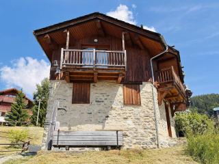 Chalet confortable pour 10 pers à Vallandry, animaux admis - FR-1-757-133 - 1