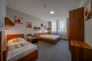 Hotel u Ledu - Velké Popovice - 6
