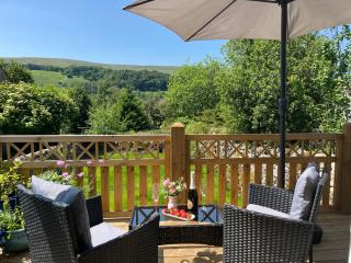The Dale - Luxurious annexe with stunning view - 0