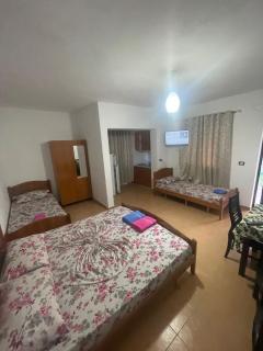 Super Hotel Velipoje - Velipojë - 8