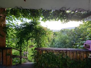 Przestronne mieszkanie przyjazne dzieciom i zwierzetom - 3