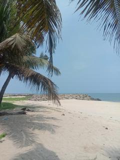 Marari beach homestay - Vayalār - 1