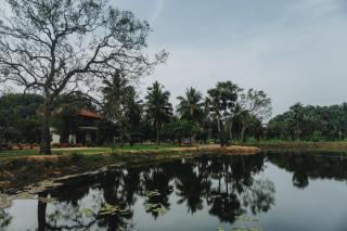 The Coconut Experience Eco Lodge - - 2