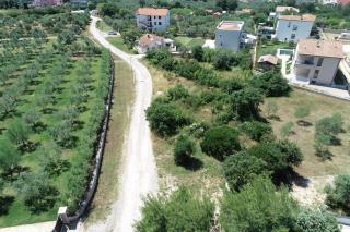 Villa Petrovic - Fažana - 4