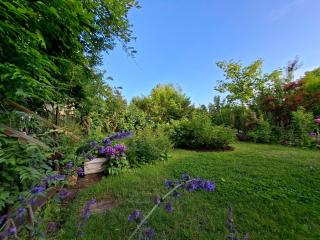 Przestronne mieszkanie przyjazne dzieciom i zwierzetom - 7