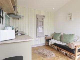 The Tinystore - Bodmin - 7