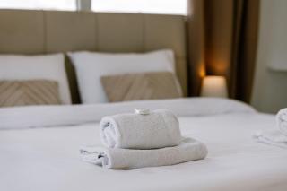 Cozy modern 1b apartment - 4