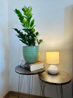 Djenovici Apartment - Peaceful Stay - Đenovići - 6