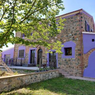 Agriturismo Casa Lavanda - Gabbro - 0