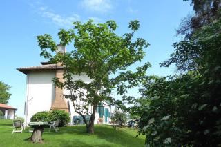 Ballo Delle Streghe - Montebelluna - 3