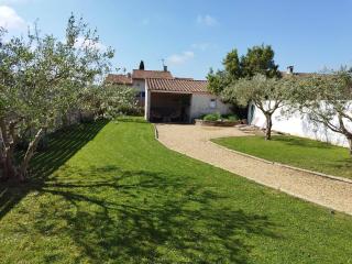 Les Olivettes - 3