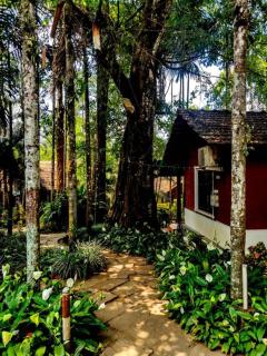 Twin Cozy Cottages - Madikeri - 6