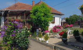 Casa Teonia - Tăşnad - 8