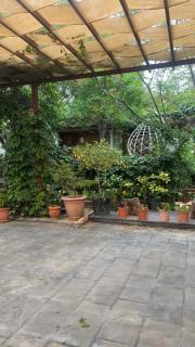Green House - Zūbiyā - 9