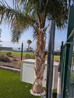 Easytenerife - Villa Pink Princess - San Miguel de Abona - 6