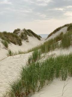 Duinstrand Burgh-Haamstede - Burgh Haamstede - 9