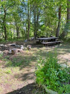 Idyllic Log Cabin Close To Forest And Kattegat - 2