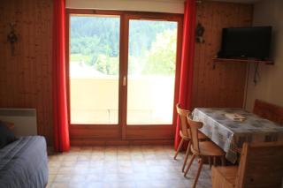 Amarillys AM2 MOUNTAIN & TELECABINE 4 Pers - Châtel - 8