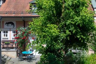 Pension Katzensprung - Passavia - 9