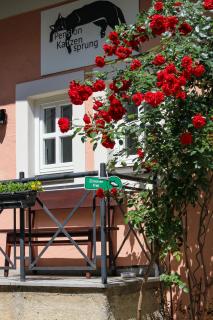 Pension Katzensprung - Passavia - 8