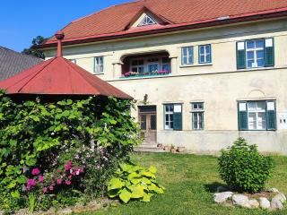 Vila Jasna - Radovljica - 9