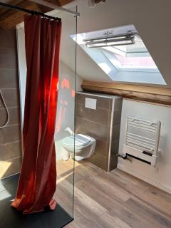 appartement sous les toits - Morteau - 1
