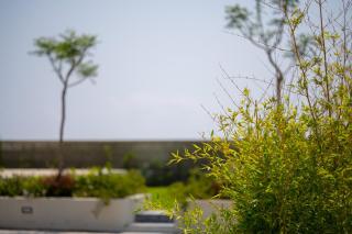 House & Villas- KYME' - Noto - 3