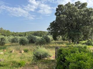 Maison de charme avec piscine - Trans-en-Provence - 6
