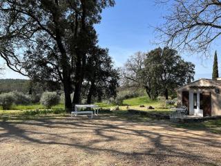 Maison de charme avec piscine - Trans-en-Provence - 4