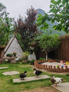 Guilin Camphor Country House -Free pick up service - Guilin - 8
