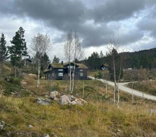 Designer Cabin With Panoramic Views In Hovden - Bykle - 5