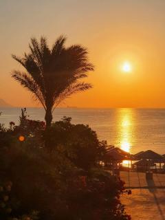 prest - Sharm El Sheikk - 5