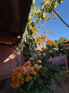Casa de roça - Diamantina - 5