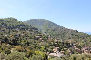 B&B Villa Orchidea - Camogli - 3
