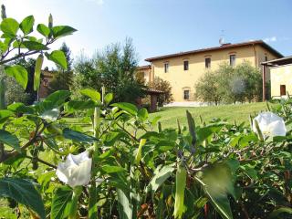 Agriturismo Poggio al Sole, Vinci - Vinci - 5